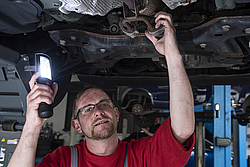 Bild von Martin Kurjinski